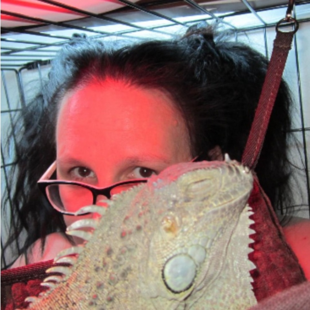 🦎⭐️LIZZARD PRINCESS⭐️🦎PLEASE READ ABOUT ME!